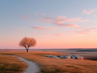 Lone Tree on a Hill at Sunset with a Walking Path and Colorful Sky