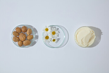 Flat lay composition with shea butter, nuts and chamomile in petri dish on white surface, styled for skincare and cosmetic product concepts.