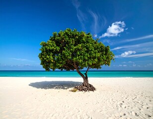 Tropical beach with lone tree