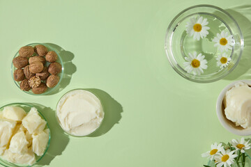 Green background flat lay of shea butter, nuts and chamomile in petri dishes, arranged as clean minimalist ingredient scene for beauty branding.