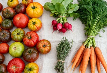 Fresh Organic Harvest: Colorful Heirloom Tomatoes, Carrots, Radishes, and Thyme. Healthy Vegetables and Herbs.