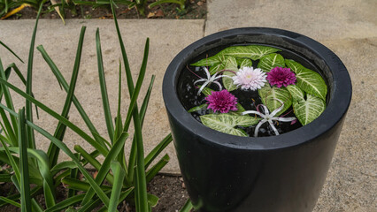 Decorative vase in a tropical park by the footpath. Lily, chrysanthemums flowers, and green leaves float on the surface of the water. Mauritius.