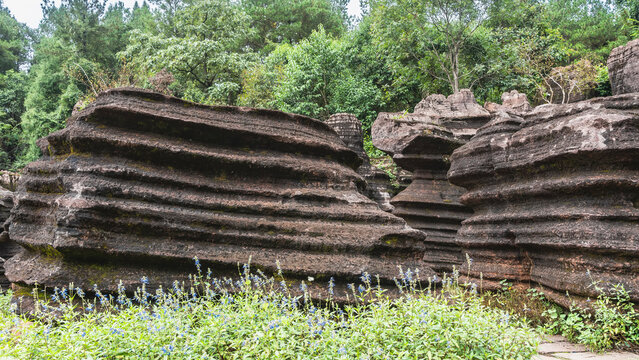 Bizarre karst cliffs. Red-brown rocks with a wavy surface with geological layers. Wildflowers in the meadow. Green vegetation. China. Red Stone Forest National Geopark. Hunan Province