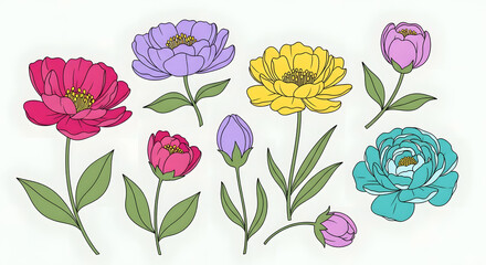 Colorful illustration of various peony flowers and buds with green leaves.