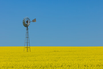 Windmill in flowering canola fields in the Wheatbelt of Western Australia