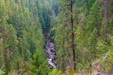 Callahan Creek Trail