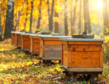 Beehives in Autumn Forest.