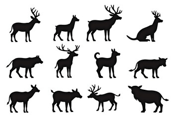 Fototapeta premium wild animals silhouettes