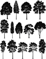 Fototapeta premium Collection of sixteen diverse tree silhouettes