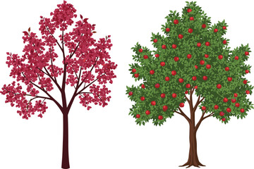 Naklejka premium Red blooming flower tree illustration, apple fruit tree vector, seasonal garden artwork, orchard plant design, natural foliage element, landscape clipart