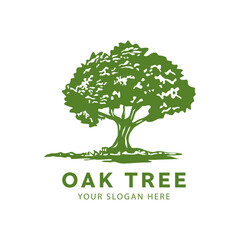 Vibrant oak tree logo design, root, water and soil vector