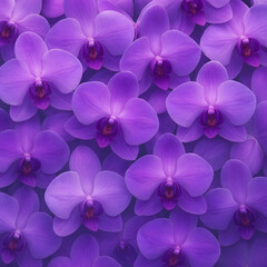 A close-up of a beautiful purple orchid flower showcasing its vibrant lilac and violet petals in a spring garden setting