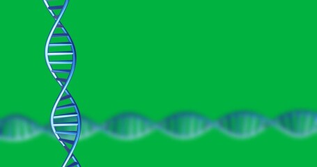 Animation of blue dna strands spinning on transparent background - Powered by Adobe