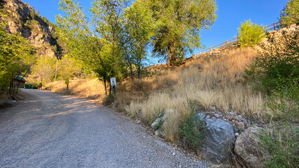 Wonan Walking dog in Glenwood Canyon