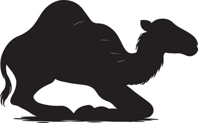 Silhouette of a dromedary camel kneeling on the ground with its head held high against a white background