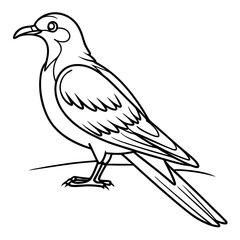 A simple black and white line drawing of a stylized bird standing on a thin line with its tail feathers fanned out and wings slightly folded