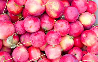 The harvest of apples. Culinary background, banner, cover.Small red apples photographed from above.