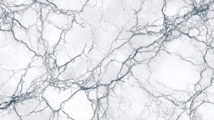 Fototapeta premium A close-up view of a luxurious white marble slab features a network of dark cracks and veins adding natural texture,