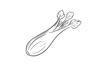 celery digital illustration drawing isolated