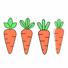 vector collection of fresh  carrot vegetables