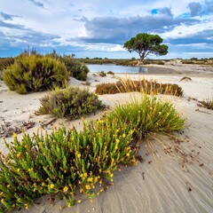 Coastal Sand Dune Landscape with Plants.