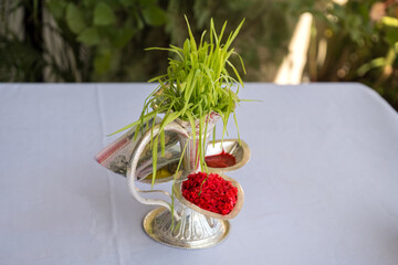 Tika and Jamara placed in a silver utensil with barley sprouts, money, and fruits for the Vijaya Dashami ceremony during Dashain festival in Nepal.