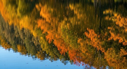 Autumn trees reflecting in water showing fall colors and peaceful scene