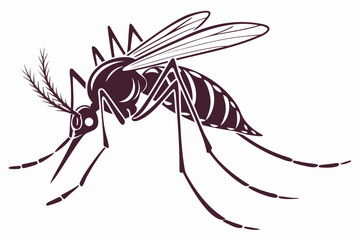 black spider vector