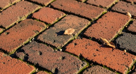 Red brick pavers with a few fallen leaves on a sunny day outside