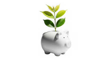 A young plant growing out of a white piggy bank, isolated on transparent background