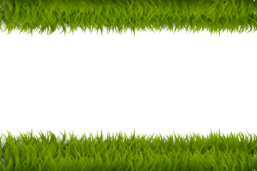 Grass frame png Hand Drawn Green Meadow Background. Natural Frame Isolated Background. Foliage Frame Greeting Card Template with Green Grass. Vector Floral Border Design Element for Greeting Cards Png