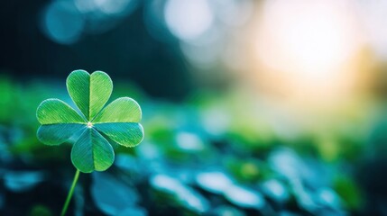 Bright green clover against a blurred background at sunset