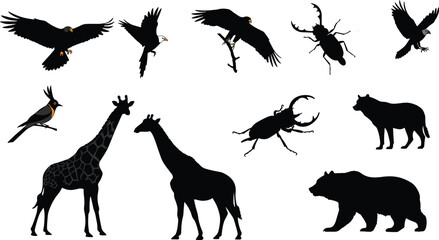 Wild animal silhouettes collection, flying eagles, birds, giraffe, bear, wolf, beetle insect, vector illustration isolated design