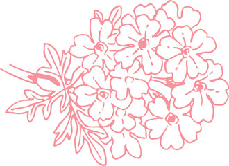 植物のスケッチ素材。野の草花。ベクターイラスト素材。