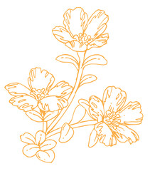 植物のスケッチ素材。野の草花。ベクターイラスト素材。