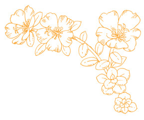 植物のスケッチ素材。野の草花。ベクターイラスト素材。