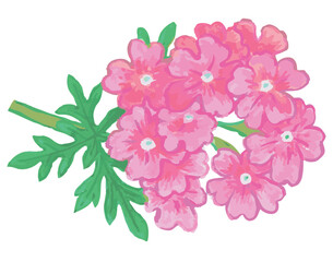 植物のスケッチ素材。野の草花。ベクターイラスト素材。