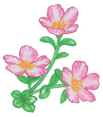 植物のスケッチ素材。野の草花。ベクターイラスト素材。