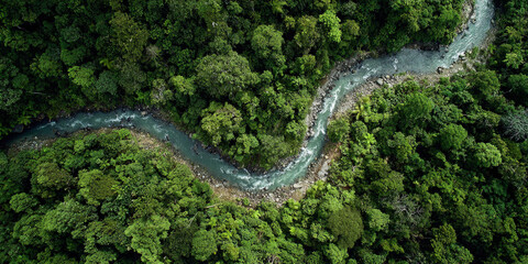 An aerial view shows a winding river carving its path through a dense green tropical rainforest,