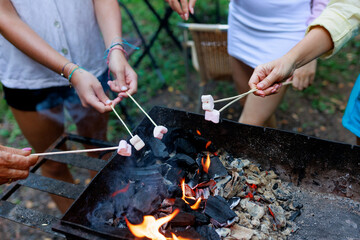 A girl's hand roasting heart-shaped marshmallows over a fire. Summer vacation fun.