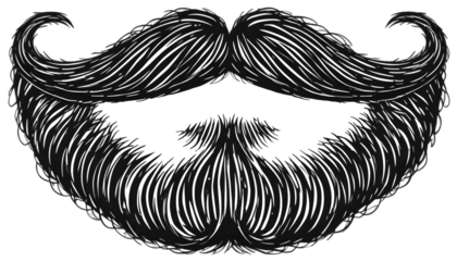 Detailed drawing of a full beard and mustache isolated on transparent background