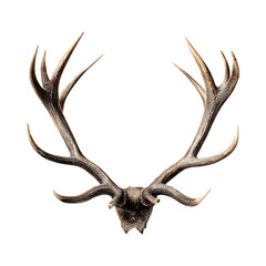 Majestic Deer Antlers Wildlife Trophy Hunting Decor Nature Photography against transparent background