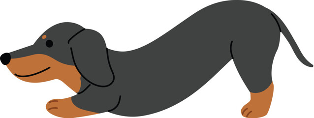 Adorable dachshund character stretching, black and tan dachshund dog flat design, playful small dog breed, isolated friendly dachshund pet cartoon