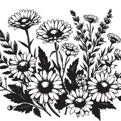 A black and white clipart bundle of wildflowers, a daisy and chamomile flower
