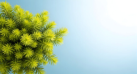 Green Plant Freshness on Blue Background Decorative Floral Botanical Element Bright Modern Foliage Natural Design Simplicity Tropical Garden