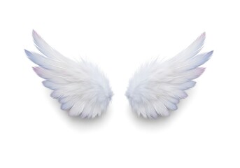 Obraz premium Angel Wings Isolated on White Background for Graphic Design
