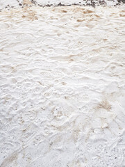 Fototapeta premium Footprints on the sand. Human and animal prints on the beach sand.