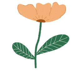 Cute Spring Flowers Illustration Set in Pastel Colors