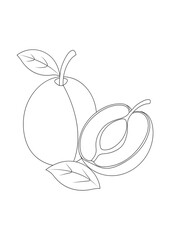 Vector line art of plum and cut half with pit, simple outline drawing for coloring pages, kids activity, education, healthy food theme, modern minimal style.