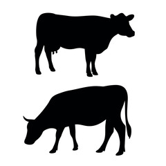 Two black silhouettes of cows standing and grazing on a white background